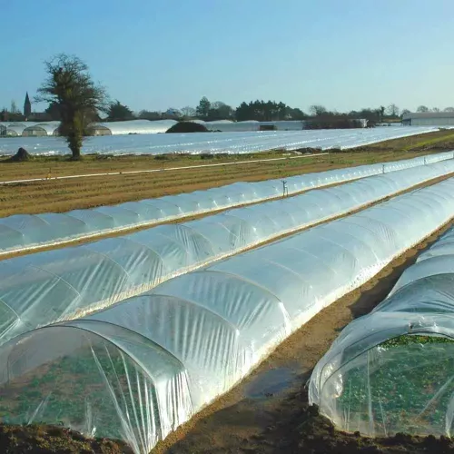 bache protection plastique plante et grele